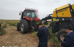 2019年，內(nèi)蒙奈吉牧草有限公司，采購一臺(tái)Anderson檸條平茬機(jī)